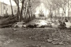 51