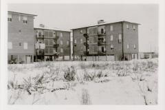 img019