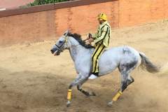 19748854_1492042307525258_3578968077453064924_n