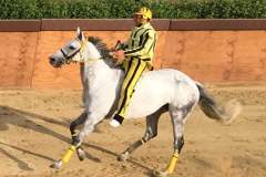 19989775_1492042090858613_3658535158944633014_n