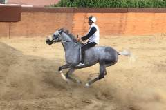 19989776_1492042274191928_4897756816919751268_n