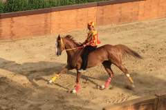 19990071_1492041954191960_862358434724030095_n