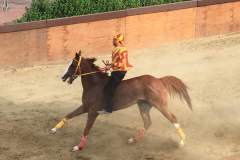 19990291_1492042440858578_7857400832906373963_n