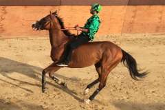 19990358_1492042200858602_3252154491476344520_n