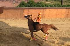 19990388_1492042437525245_6034266906884091950_n