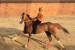 19990537_1492042167525272_8098368072610497450_n