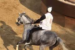 20031537_1492042430858579_3537263857620582929_n