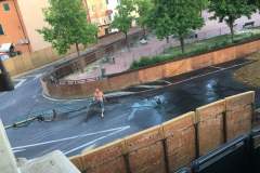 20031626_1492042444191911_4833571914447579339_n