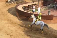 20031699_1492042434191912_6769530136264738899_n