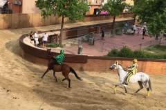 20032093_1492041734191982_6944059129960968261_n