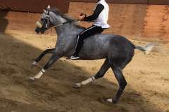 20046266_1492042004191955_9164969490289026704_n