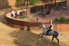 20106702_1492041904191965_2761718448044082912_n