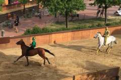 20156111_1492041924191963_5262286152123936051_n