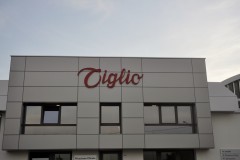 TIGLIO-15