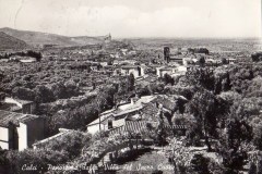 CALCI