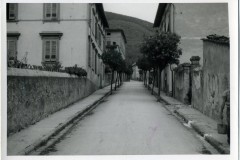 CALCI