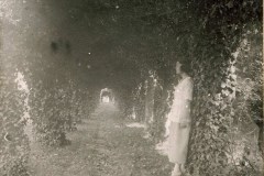 FAMIGLIA SANMINIATELLI