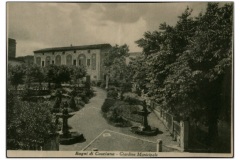 MISCELLANEA