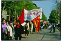 PISA-55