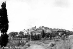 8375castellina marittima (5) (copia)