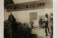 MUSEO MORELLI