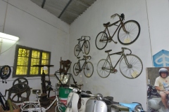 MUSEO MORELLI