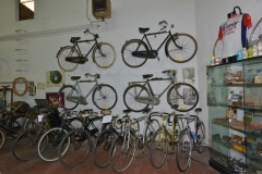 MUSEO MORELLI