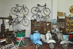 MUSEO MORELLI