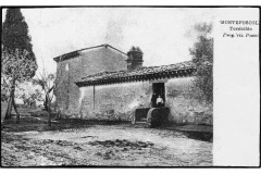 PALAIA