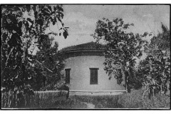 PALAIA