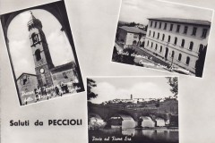 323573 arno