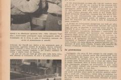 4-AUDAX-VESPISTICO-1000-KM