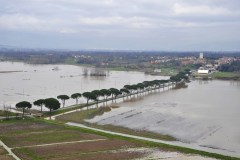 118726 padule di bientina orentano (copia)