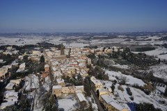 263334 peccioli