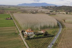 462124 forcoli (copia)