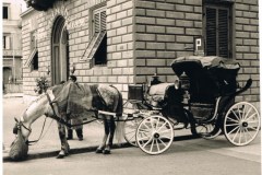 1687pisa scanner 010