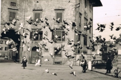 2228pisa scanner 048