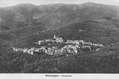 3804calci (5)