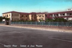 386430 (copia)