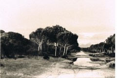 4553pisa scanner 005