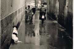 5108pisa scanner 044