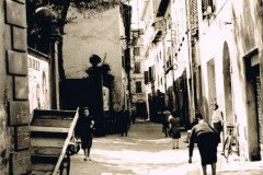 5231pisa scanner 043