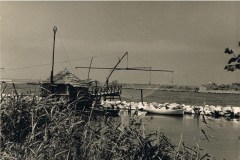 8526pisa scanner 066
