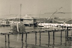 911pisa scanner 065