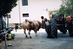 VAL DI CAVA