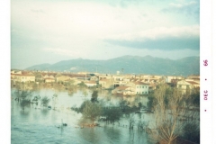 PONTEDERA