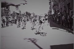 PONTEDERA