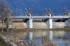 PONTEDERA