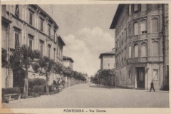 PONTEDERA