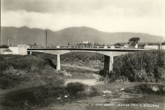 PONTEDERA